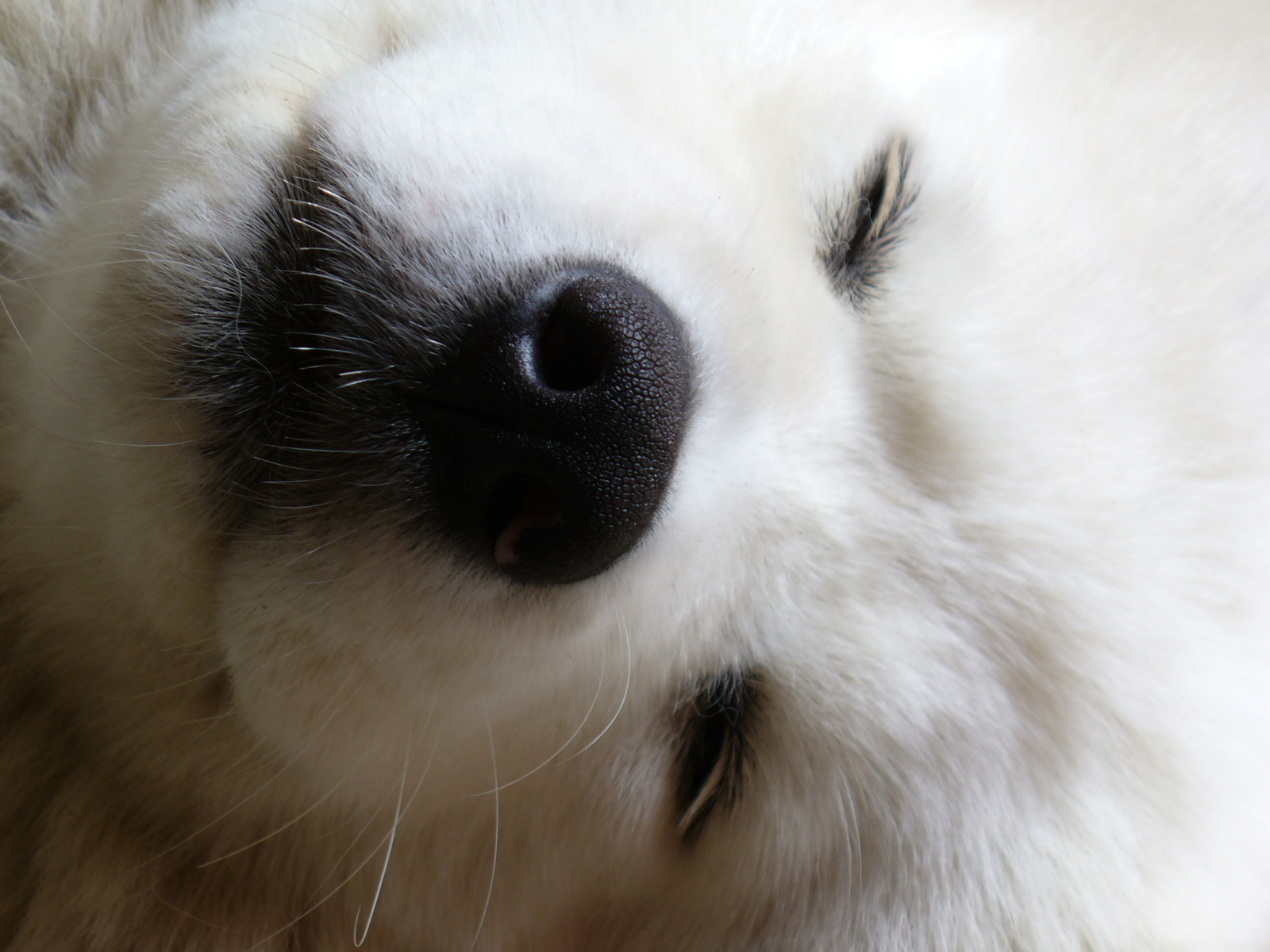 Šlofíček neuškodí...:)