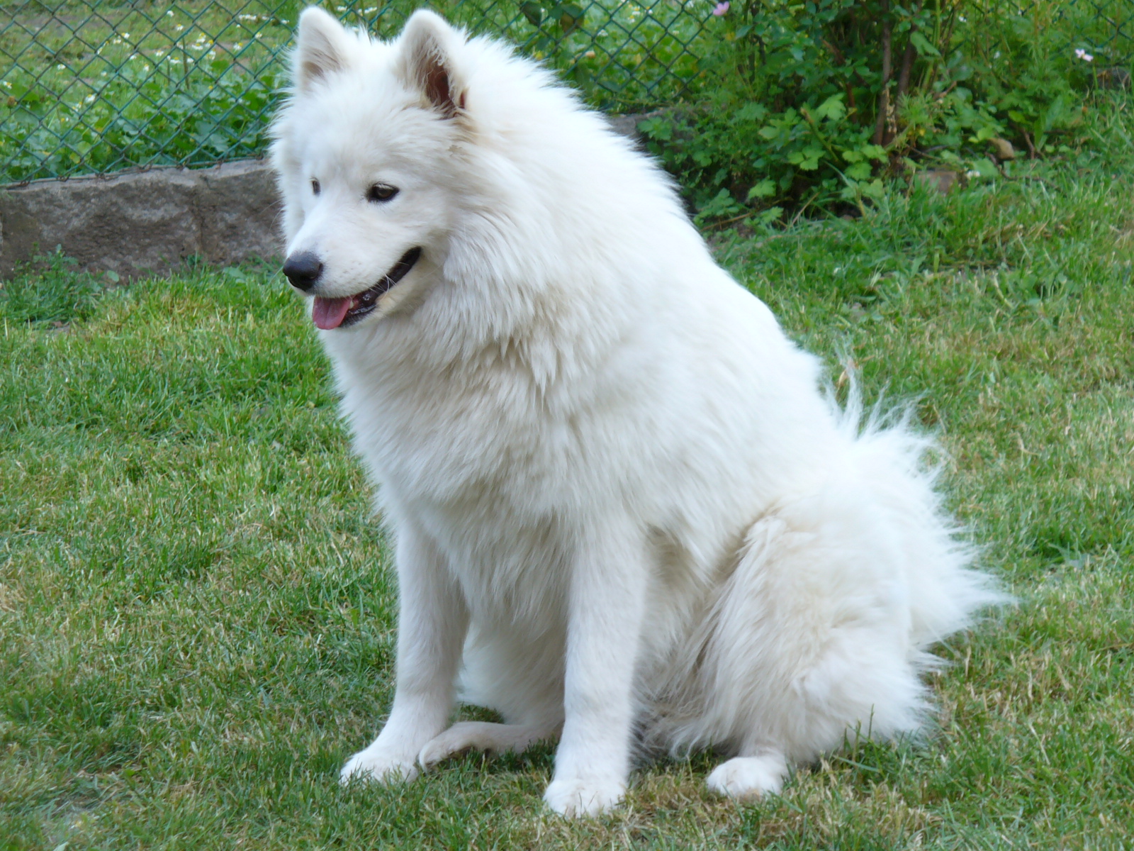 Ještě chvilku a krtku třes se..:)