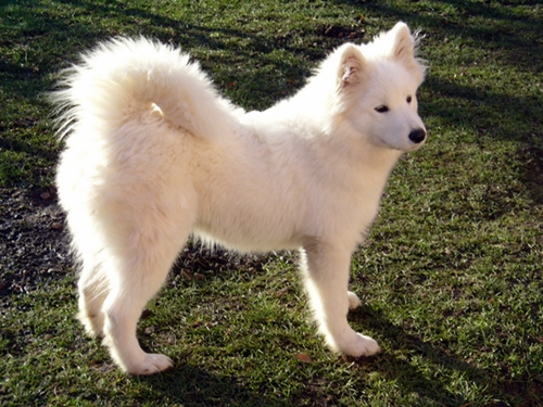 Ve sluníčku mi to sluší