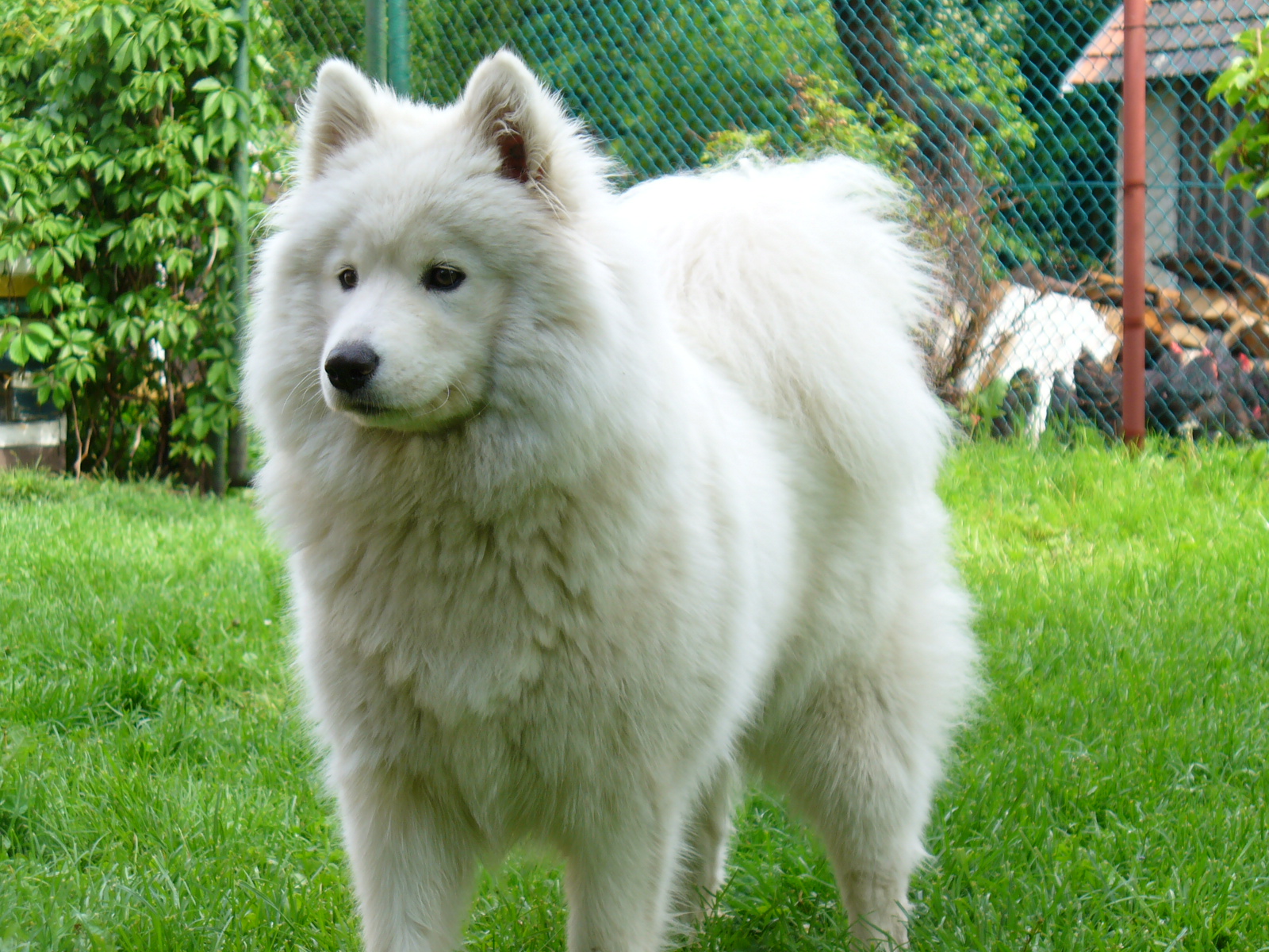 Kdopak to tu zastavil...:)