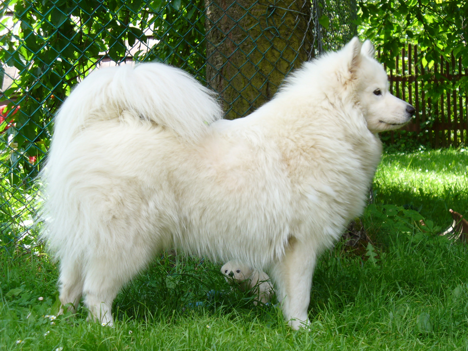 Pečlivý hlídač kontroluje...:)