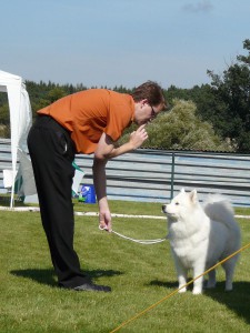 Ve výstavním kruhu.